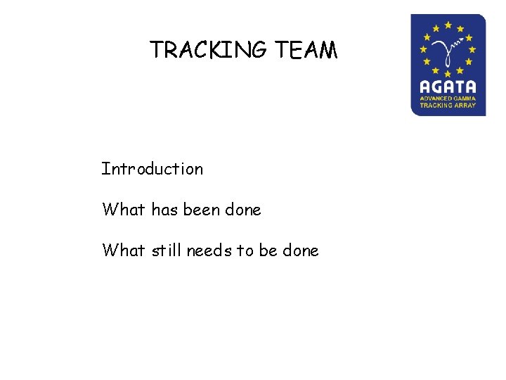 TRACKING TEAM Introduction What has been done What still needs to be done 