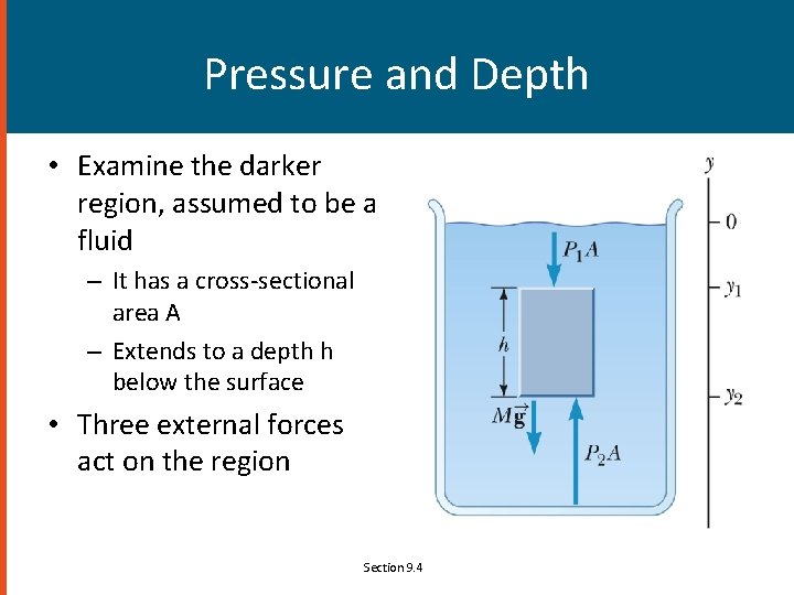 Pressure and Depth • Examine the darker region, assumed to be a fluid –