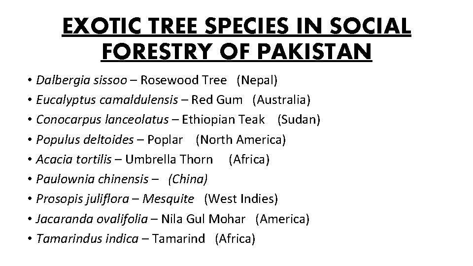 EXOTIC TREE SPECIES IN SOCIAL FORESTRY OF PAKISTAN • Dalbergia sissoo – Rosewood Tree