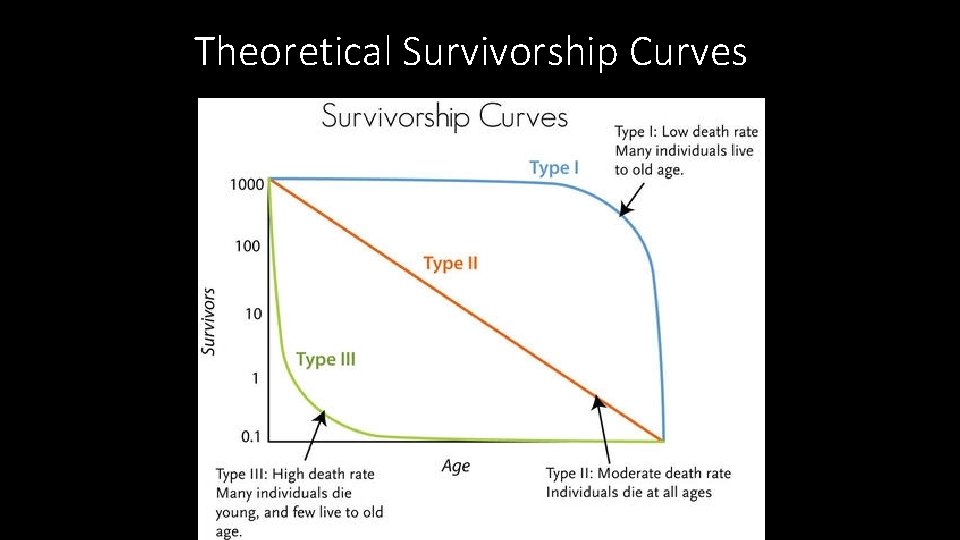 Theoretical Survivorship Curves 