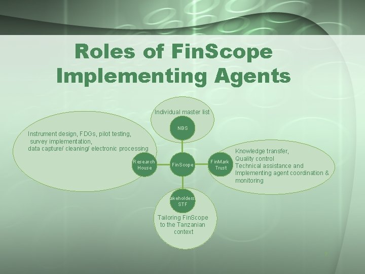 Roles of Fin. Scope Implementing Agents Individual master list Instrument design, FDGs, pilot testing,