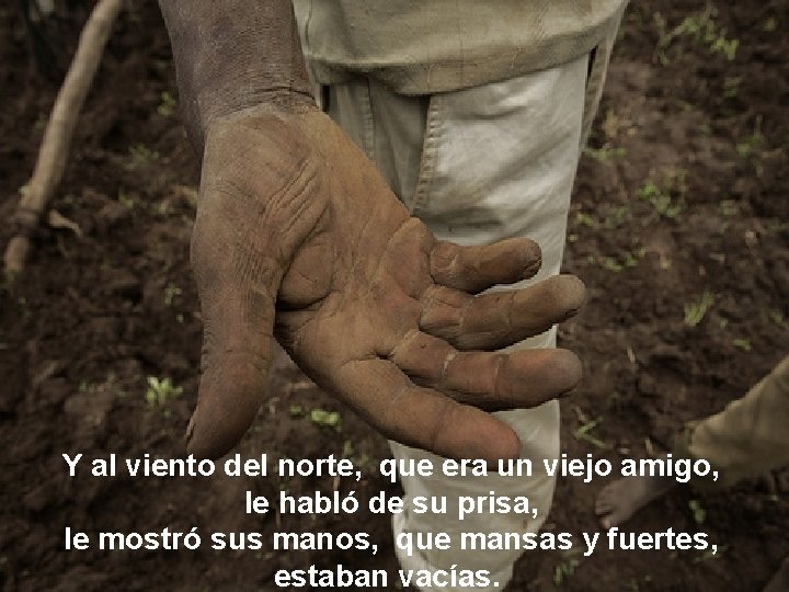 Y al viento del norte, que era un viejo amigo, le habló de su