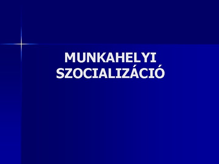 MUNKAHELYI SZOCIALIZÁCIÓ 