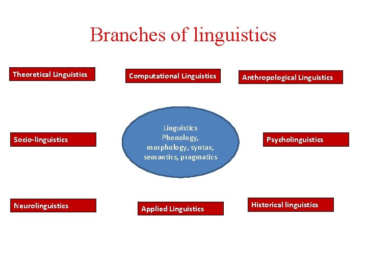 Branches of linguistics Theoretical Linguistics Computational Linguistics Socio-linguistics Linguistics Phonology, morphology, syntax, semantics, pragmatics