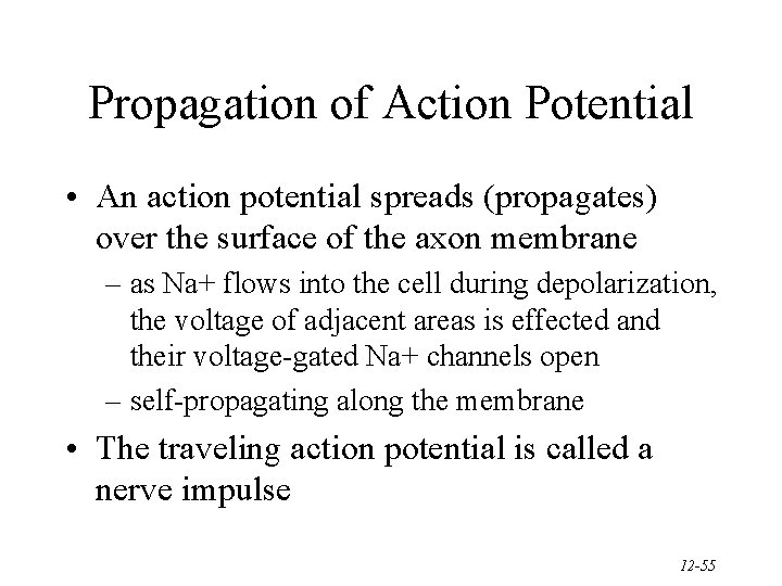 Propagation of Action Potential • An action potential spreads (propagates) over the surface of