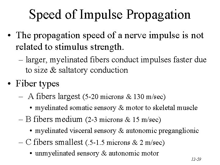 Speed of Impulse Propagation • The propagation speed of a nerve impulse is not