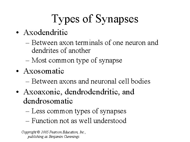 Types of Synapses • Axodendritic – Between axon terminals of one neuron and dendrites