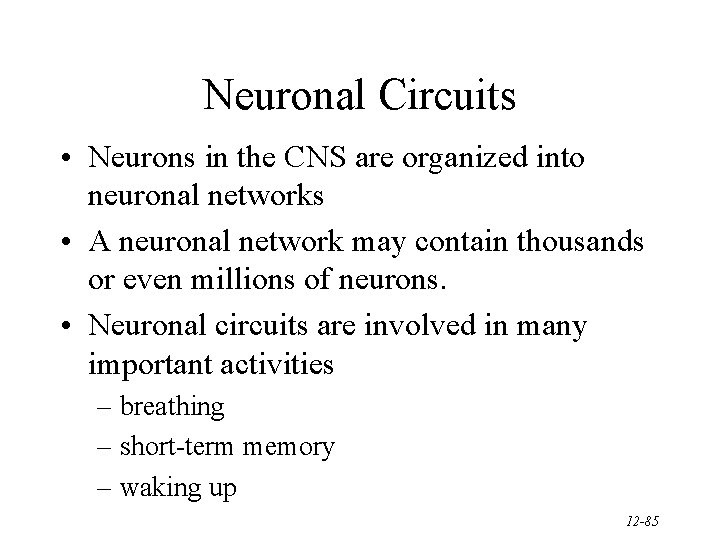Neuronal Circuits • Neurons in the CNS are organized into neuronal networks • A