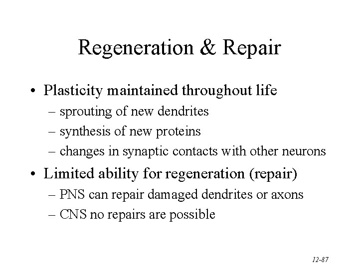 Regeneration & Repair • Plasticity maintained throughout life – sprouting of new dendrites –