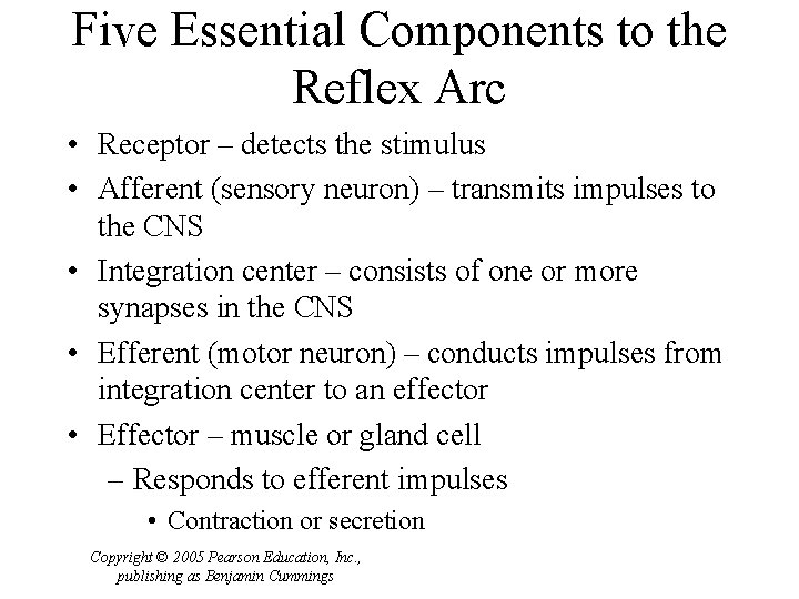Five Essential Components to the Reflex Arc • Receptor – detects the stimulus •