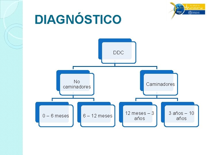 DIAGNÓSTICO DDC No caminadores 0 – 6 meses 6 – 12 meses Caminadores 12 DIAGNÓSTICO DDC No caminadores 0 – 6 meses 6 – 12 meses Caminadores 12