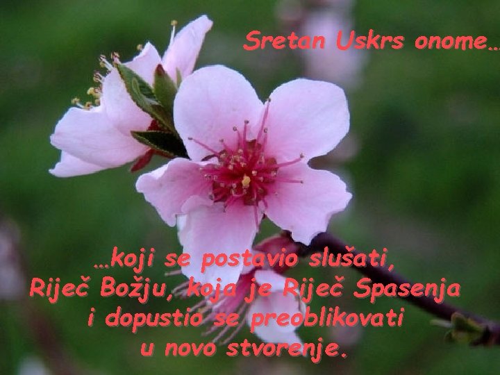 Sretan Uskrs onome… …koji se postavio slušati, Riječ Božju, koja je Riječ Spasenja i