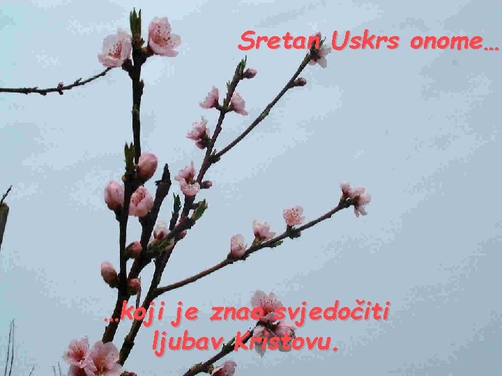 Sretan Uskrs onome… …koji je znao svjedočiti ljubav Kristovu. 