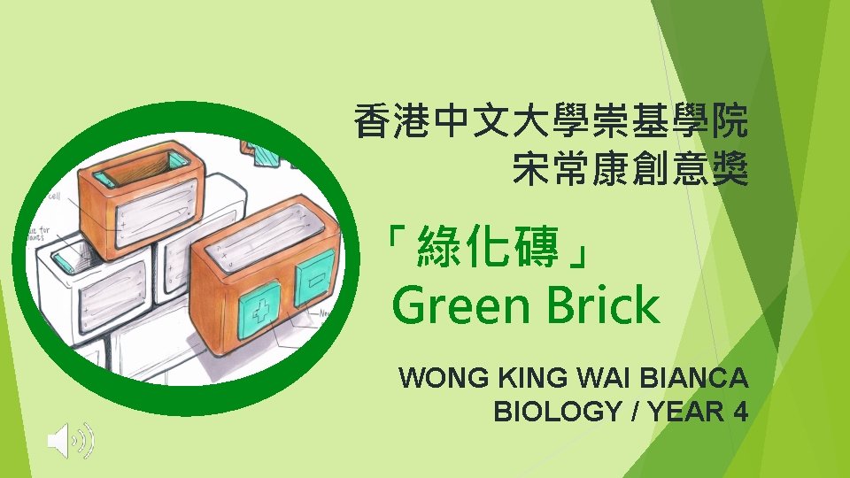 香港中文大學崇基學院 宋常康創意獎 「綠化磚」 Green Brick WONG KING WAI BIANCA BIOLOGY / YEAR 4 