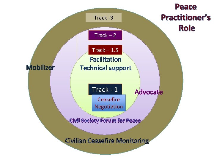 Track -3 Track – 2 Peace Practitioner’s Role Track – 1. 5 Mobilizer SELFNy