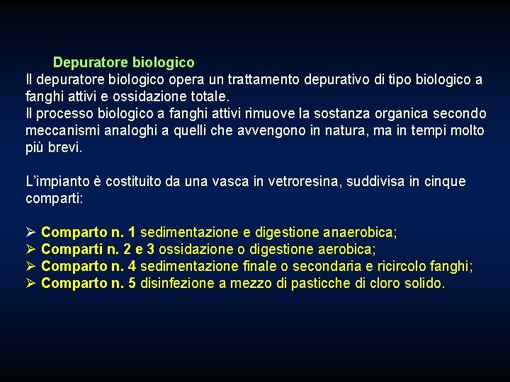 Depuratore biologico Il depuratore biologico opera un trattamento depurativo di tipo biologico a fanghi