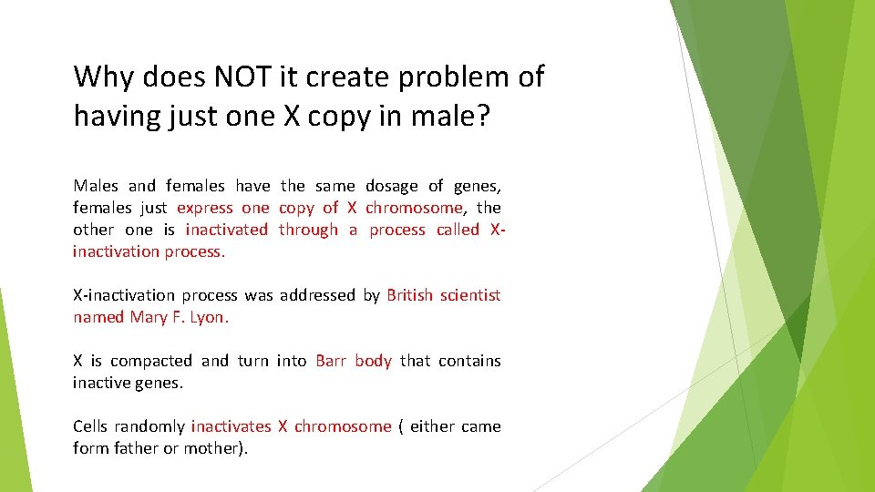 Why does NOT it create problem of having just one X copy in male?