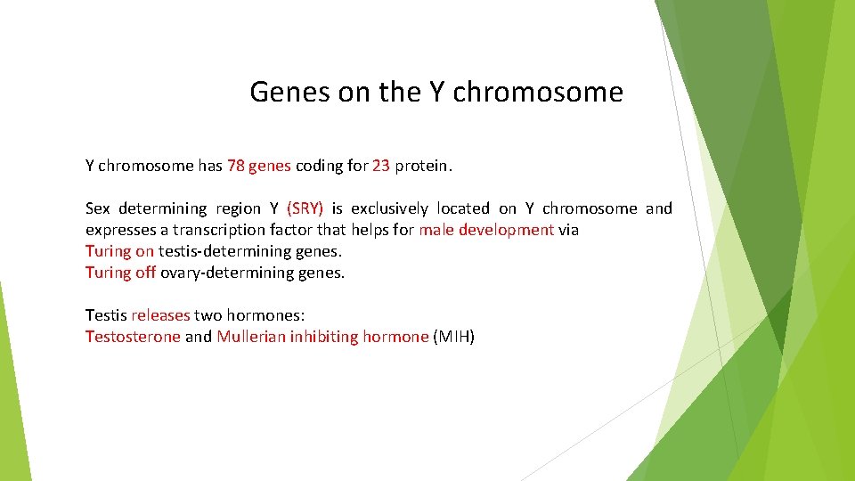 Genes on the Y chromosome has 78 genes coding for 23 protein. Sex determining