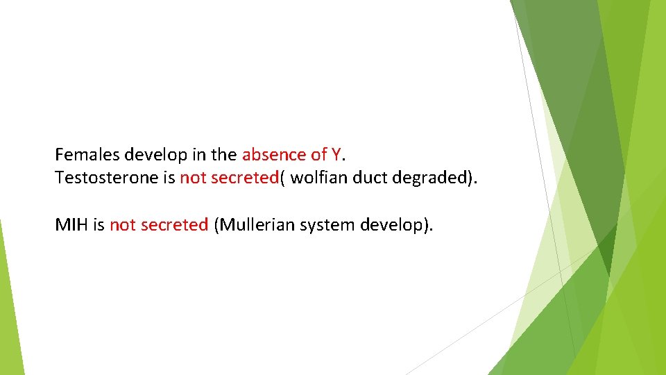 Females develop in the absence of Y. Testosterone is not secreted( wolfian duct degraded).