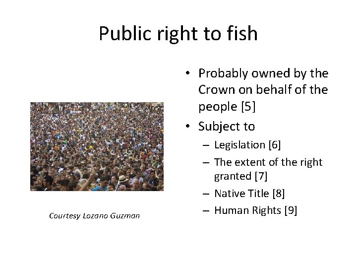 Public right to fish • Probably owned by the Crown on behalf of the