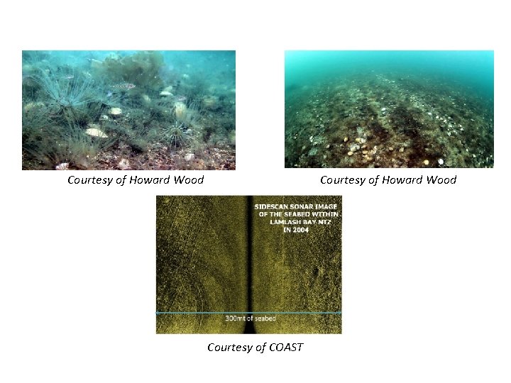 Courtesy of Howard Wood Courtesy of COAST 