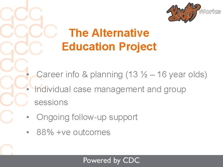 The Alternative Education Project • Career info & planning (13 ½ – 16 year