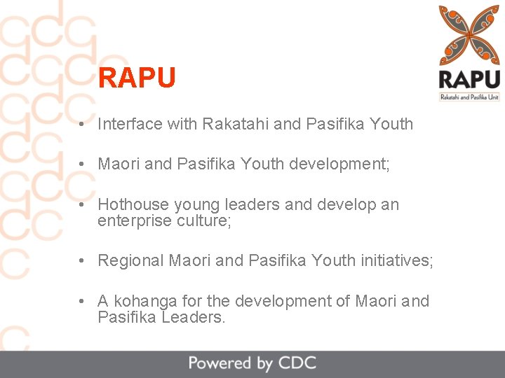 RAPU • Interface with Rakatahi and Pasifika Youth • Maori and Pasifika Youth development;