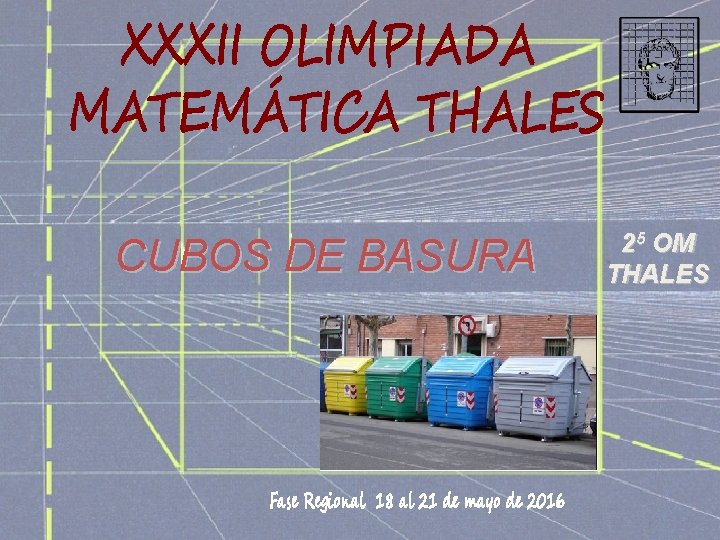 CUBOS DE BASURA 25 OM THALES 