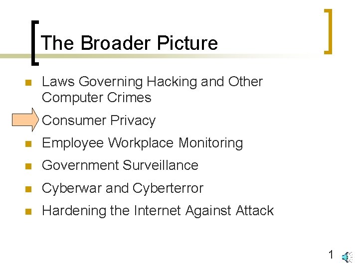 The Broader Picture n Laws Governing Hacking and Other Computer Crimes n Consumer Privacy