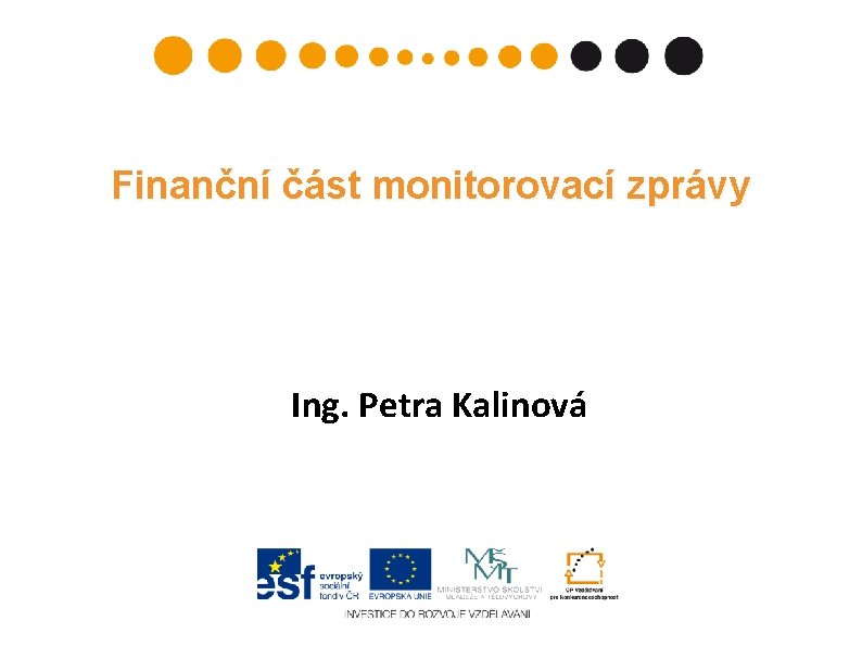 Finanční část monitorovací zprávy Ing. Petra Kalinová 