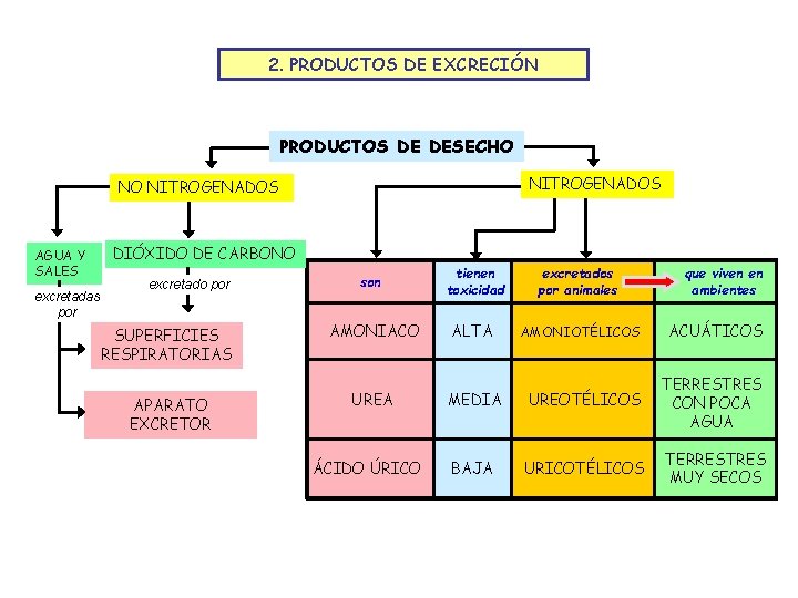 2. PRODUCTOS DE EXCRECIÓN PRODUCTOS DE DESECHO NITROGENADOS NO NITROGENADOS AGUA Y SALES excretadas