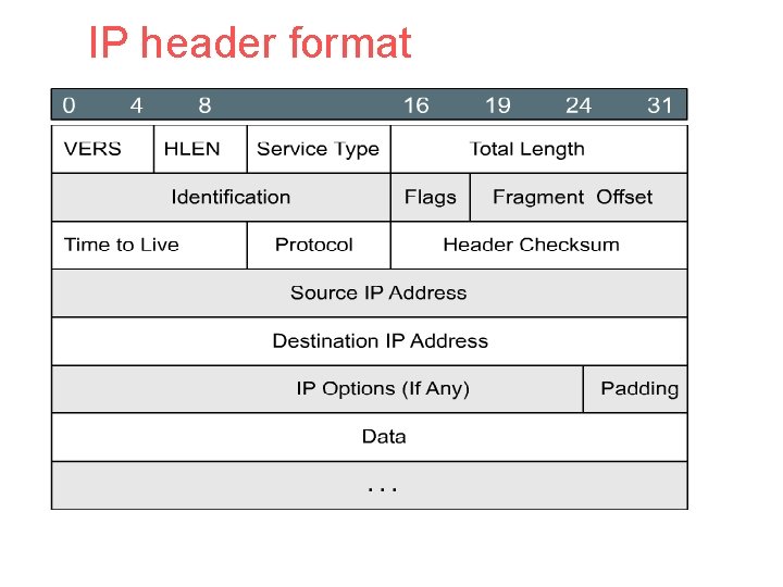 IP header format 