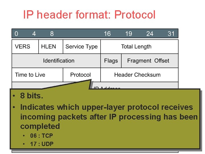 IP header format: Protocol • 8 bits. • Indicates which upper-layer protocol receives incoming