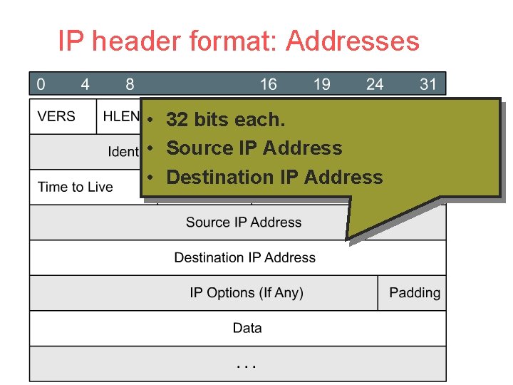 IP header format: Addresses • 32 bits each. • Source IP Address • Destination