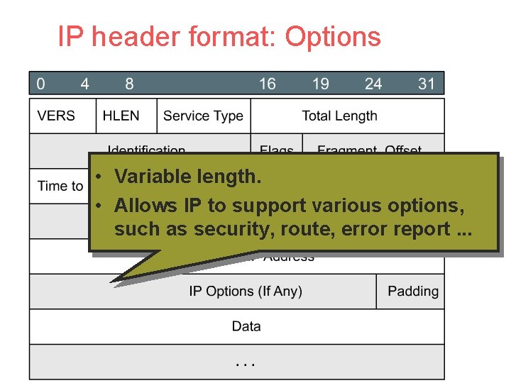 IP header format: Options • Variable length. • Allows IP to support various options,