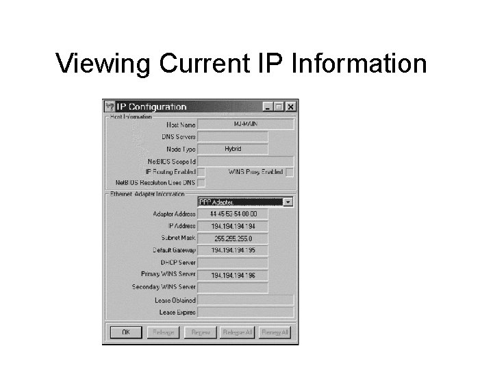 Viewing Current IP Information 