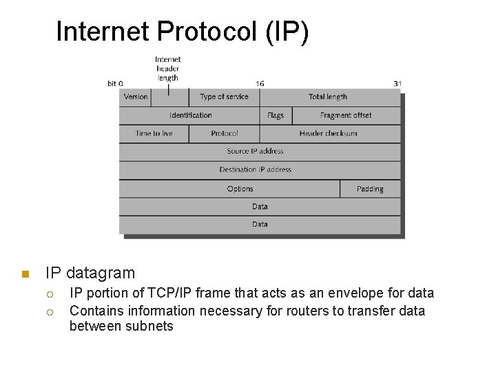 Internet Protocol (IP) n IP datagram ¡ ¡ IP portion of TCP/IP frame that