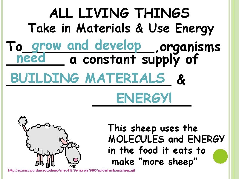 ALL LIVING THINGS Take in Materials & Use Energy grow and develop To________, organisms