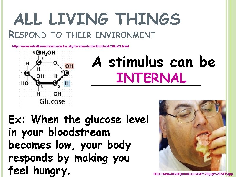 ALL LIVING THINGS RESPOND TO THEIR ENVIRONMENT http: //www. estrellamountain. edu/faculty/farabee/biobk/Bio. Book. CHEM 2.