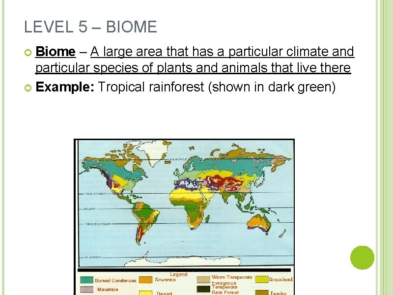 LEVEL 5 – BIOME Biome – A large area that has a particular climate