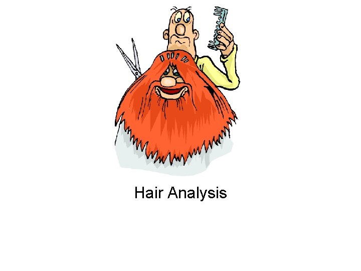 Hair Analysis 