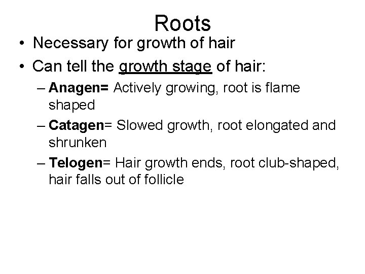 Roots • Necessary for growth of hair • Can tell the growth stage of