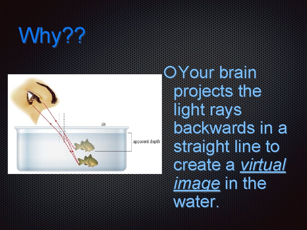 Why? ? Your brain projects the light rays backwards in a straight line to