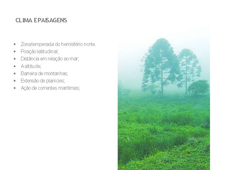 CLIMA E PAISAGENS Zona temperada do hemisfério norte. Posição latitudinal; Distância em relação ao