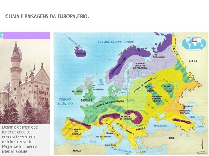 CLIMA E PAISAGENS DA EUROPA, FRIO. 1 Domínio da taiga e de terrenos onde
