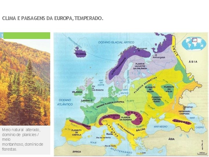 CLIMA E PAISAGENS DA EUROPA, TEMPERADO. 1 Meio natural alterado, domínio de planícies /