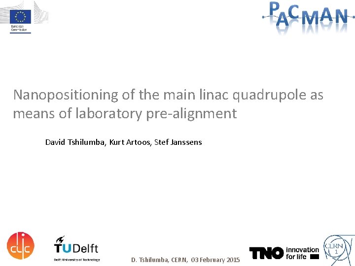 Nanopositioning of the main linac quadrupole as means of laboratory pre-alignment David Tshilumba, Kurt