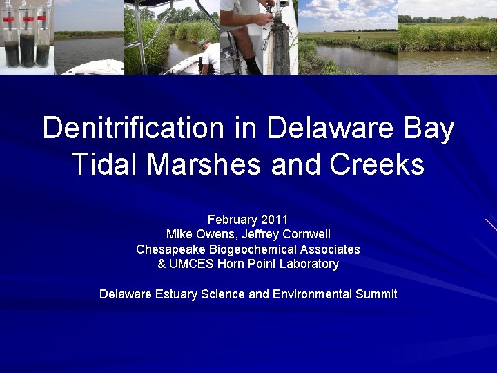 Denitrification in Delaware Bay Tidal Marshes and Creeks February 2011 Mike Owens, Jeffrey Cornwell