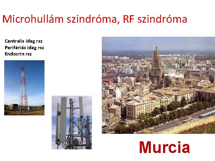 Microhullám szindróma, RF szindróma Centralis ideg rsz Perifériás ideg rsz Endocrin rsz Murcia 