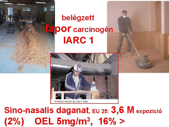 belégzett fapor carcinogén IARC 1 Sino-nasalis daganat, EU 25: 3, 6 M expozició (2%)